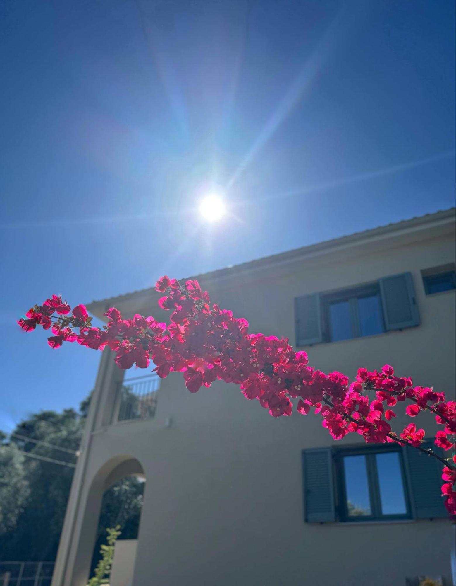 Olea Luxury Apartments Parga Buitenkant foto